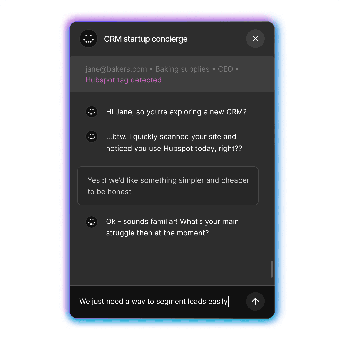 Customer Support Interface